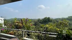 Clementi Park (D21), Condominium #566330461